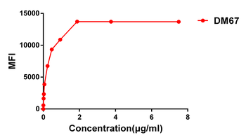 4-1BB Antibody