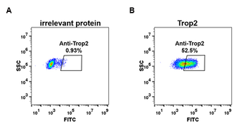 Trop2 Antibody