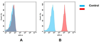 Trop2 Antibody