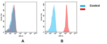 Trop2 Antibody