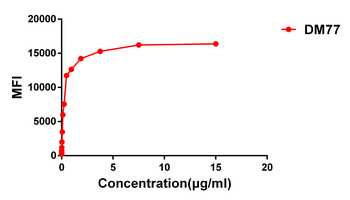 CD33 Antibody