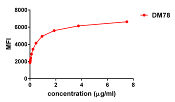 GITR Antibody