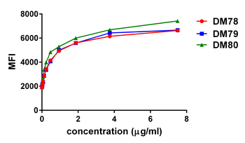 GITR Antibody