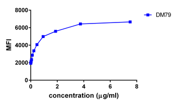 GITR Antibody