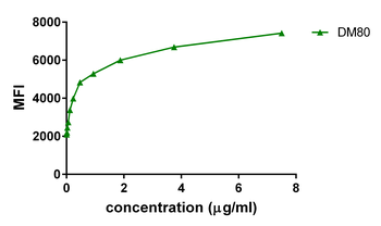 GITR Antibody