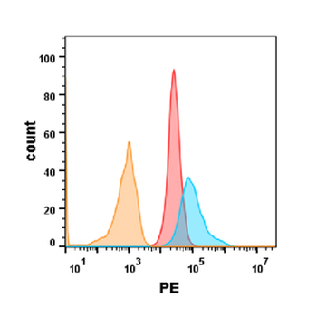 TNFRSF10B Antibody