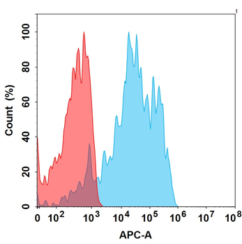 AXL Antibody