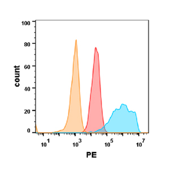 EGFR Antibody