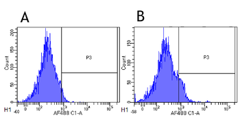 IL-2R alpha antibody