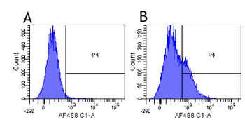 IL-2R alpha antibody