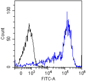 IgM antibody