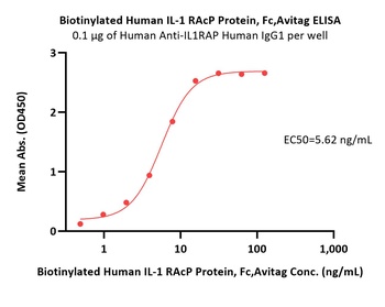 Human IL-1 RAcP Protein, Fc-Avi Tag (Biotin)