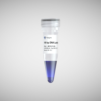 Vazyme - 100 bp DNA Ladder