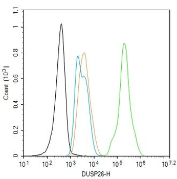 DUSP26 antibody