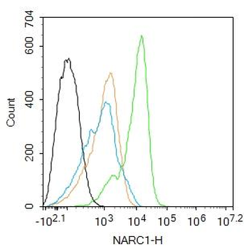 PCSK9 antibody