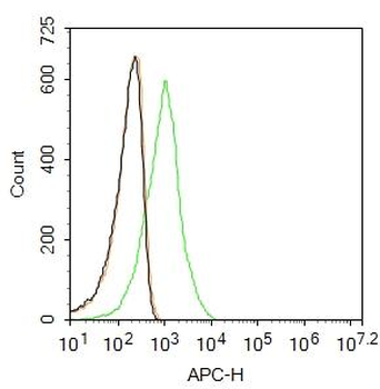 NeuN Rabbit Polyclonal Antibody (APC)