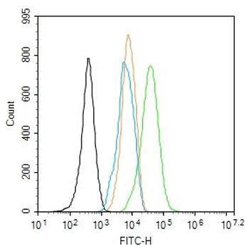 ACTA2 antibody