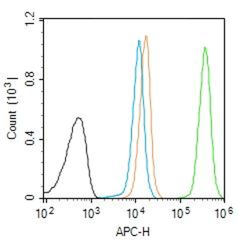 PGC1 alpha + beta Rabbit Polyclonal Antibody