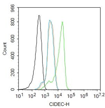 CIDEC Rabbit Polyclonal Antibody
