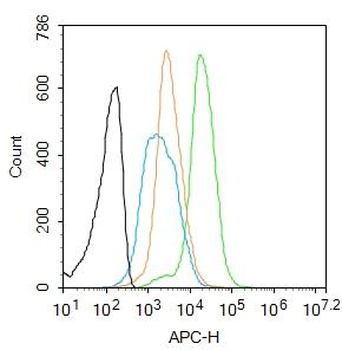 CIDEC antibody