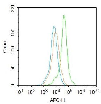 MASH1/Achaete-scute homolog 1 antibody