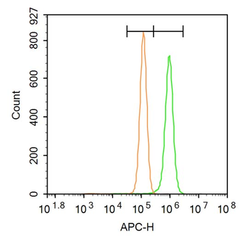 Ferritin antibody