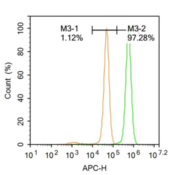 Ferritin antibody