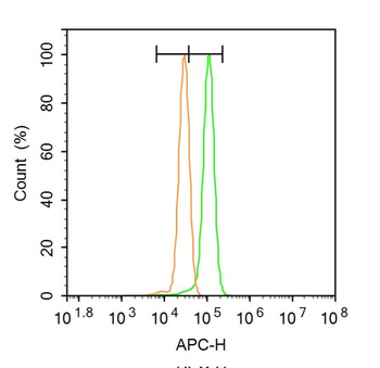 Bad antibody