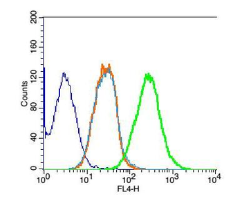 NARG2 antibody