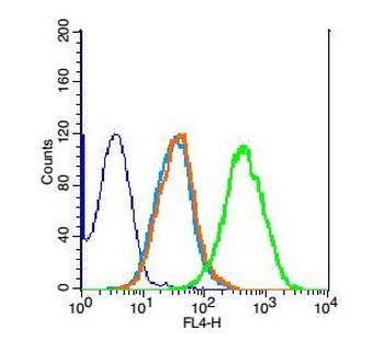 NARG2 antibody