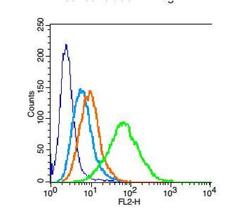 NARG2 antibody