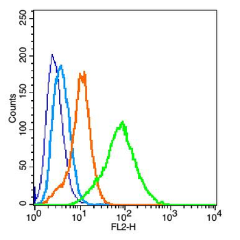 EpCAM antibody