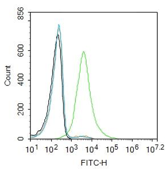 EpCAM antibody