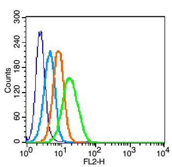 CXCR4 antibody