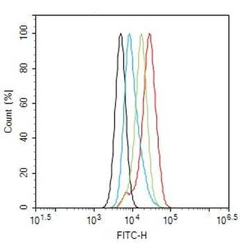 CDK4 Rabbit Polyclonal Antibody