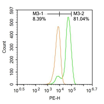 Chat antibody