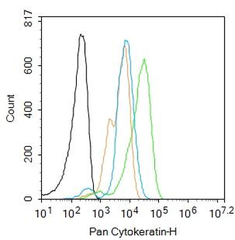 pan Cytokeratin antibody