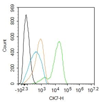 Cytokeratin 7 antibody