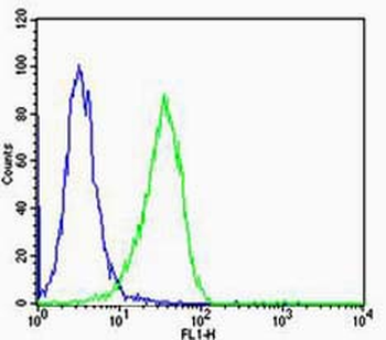 Cyclin B1 antibody