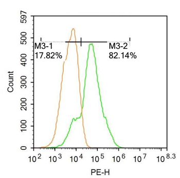 Egr1 antibody