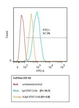 STAT3 (phospho-Tyr705) antibody