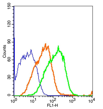 STAT3 (phospho-Tyr705) antibody