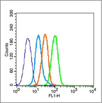 Estrogen Receptor alpha + beta Rabbit Polyclonal Antibody