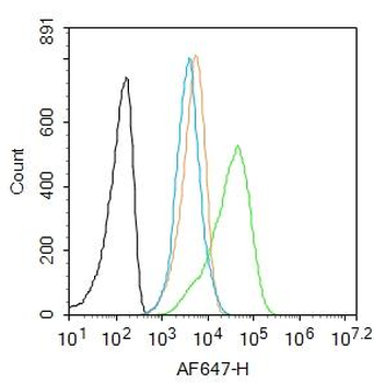 GPR30 antibody