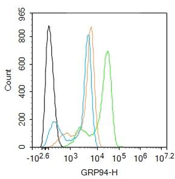 GRP94 antibody