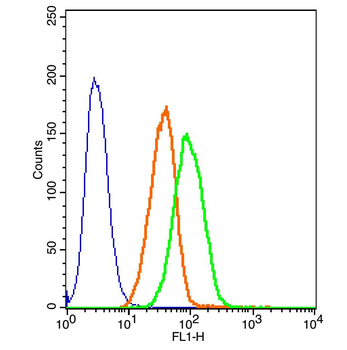 GSK3 beta (phospho-Ser9) antibody