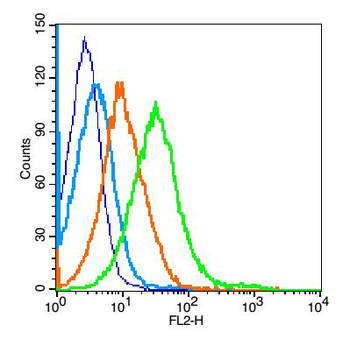 Histone H3 antibody