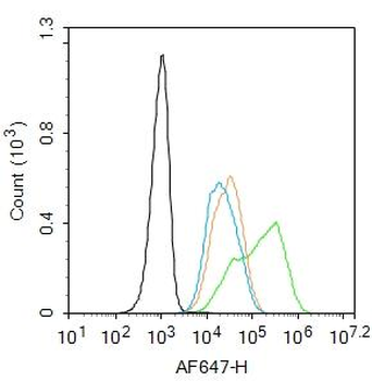 TRT antibody