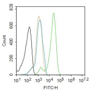 TRT antibody