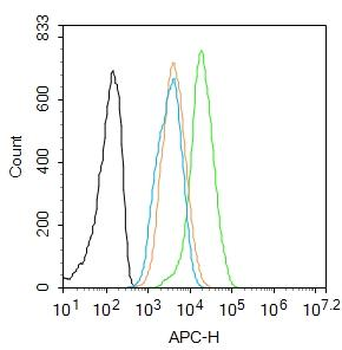 NFKB Inhibitor alpha antibody